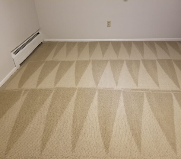 Carpet Cleaning in Centennial, CO (1)