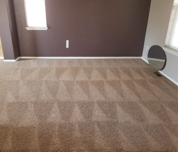 Carpet Cleaning in Thorton, CO (1)