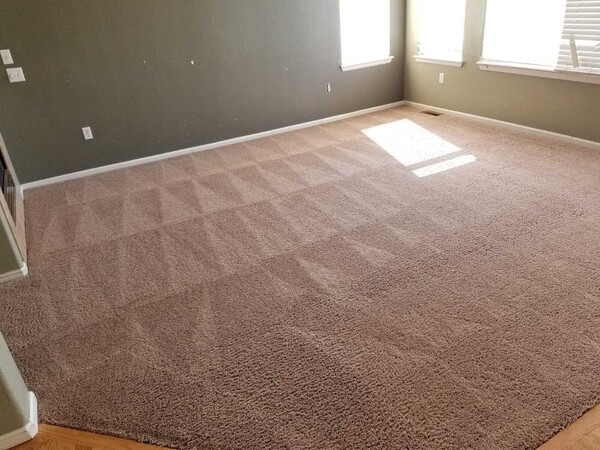 Carpet Cleaning in Denver, CO (1)
