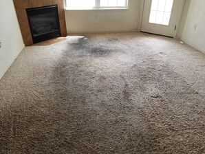 Before & After Carpet Cleaning in Denver, CO (1)